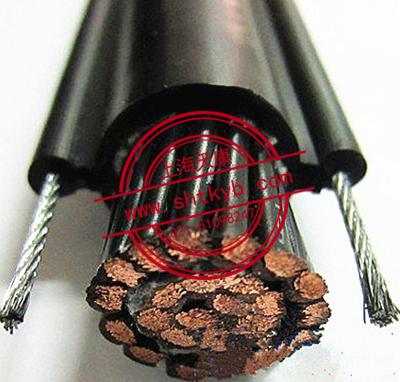 自承式单双钢丝葫芦电缆