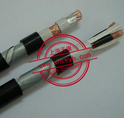 IJYP(S) IJYP(S)-R本安防水用集散型仪表信号电缆