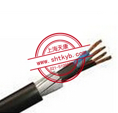 RVSP22 铠装双绞屏蔽线 RVSP22