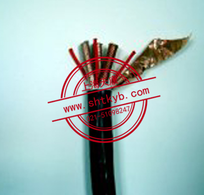 氟塑料绝缘控制电缆