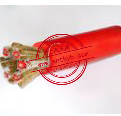 ZR-DJFPVPR、ZR-DJFP2VP2 ZR-DJFPFP耐高温计算机电缆