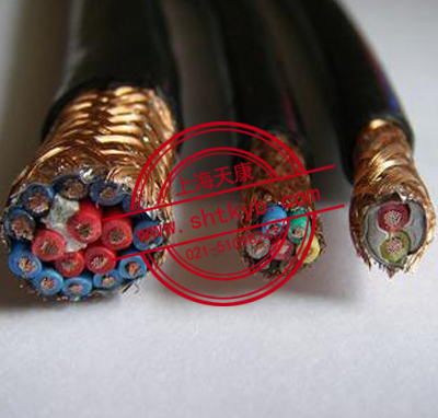 DJFPFP耐高温防腐计算机电缆