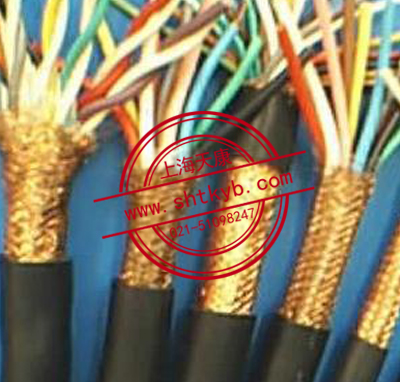 WLZR-DJYP2YRP2电缆