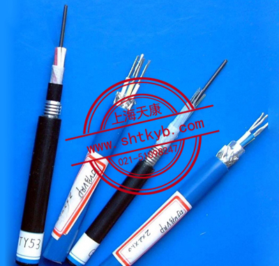 本质安全电路计算机屏蔽电缆(包括本安用DCS电缆)