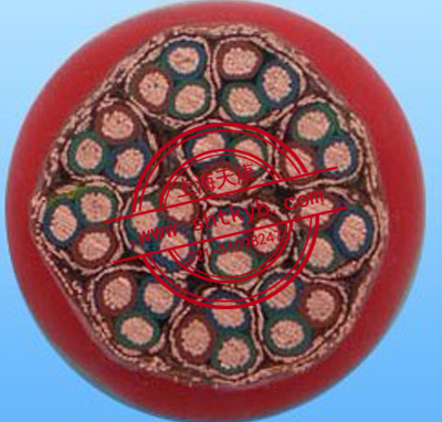 DJFP3G DJFP2GP2R硅橡胶护套计算机软电缆