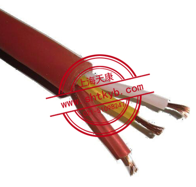 JGG-6KV硅橡胶电缆