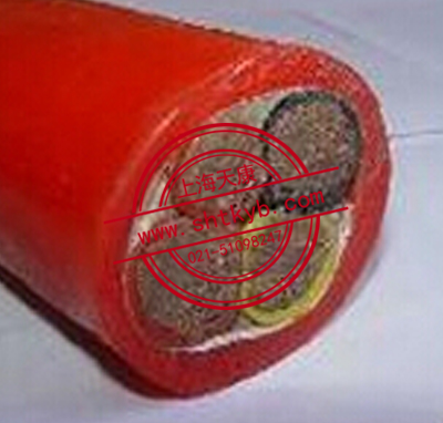 ZRC-DPGPGRP-300/500V硅橡胶电缆