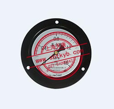 Y-100ZT普通压力表