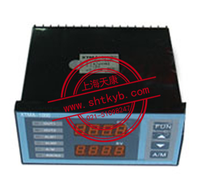 XMZA-135数字显示仪