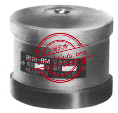 BHR-8M电阻应变荷重传感器