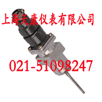 铠装热电阻WZPK2-365